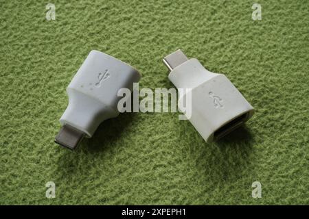 Terengganu, Malaysia - 23. August 2024 : Nahaufnahme von zwei usb-A-auf-usb-C-Adaptern auf grünem Hintergrund. Weiße usb-Farben. Stockfoto