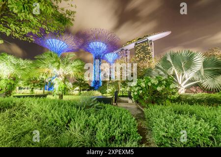 Fantastischer Nachtanblick auf Gardens by the Bay in Singapur Stockfoto