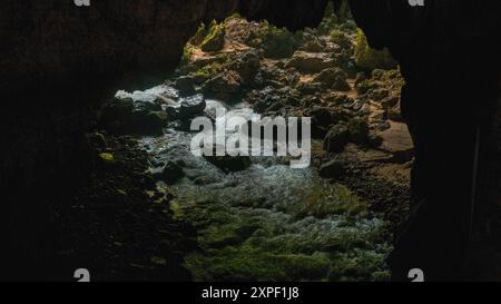 Der Fluss fließt durch eine dunkle Höhlenöffnung und offenbart eine felsige Landschaft, die in sanftes, natürliches Licht getaucht ist und eine ruhige und geheimnisvolle Atmosphäre schafft Stockfoto