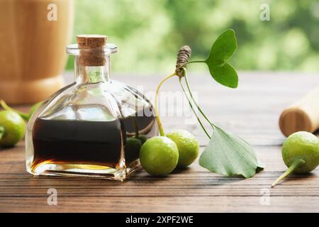 Flasche Ginkgo biloba Infusion, Tinktur oder Extrakt. Gesunde Ginkgo-Blätter und Früchte auf Holztisch im Freien. Alternative pflanzliche Medizin. Gesundheit Stockfoto