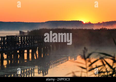 Bad Buchau, Deutschland. August 2024. Blick auf den Federsee am Morgen kurz vor Sonnenaufgang. Mit einer Fläche von 1,4 Quadratkilometern ist der See bei Bad Buchau in Oberschwaben der zweitgrößte See Baden-Württembergs. Autor: Thomas Warnack/dpa/Alamy Live News Stockfoto