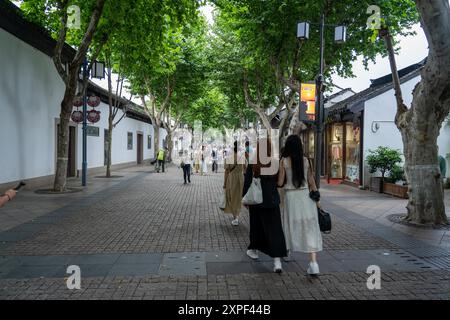 Suzhou, China - 11. Juni 2024 : Kopfsteinpflasterstraße gesäumt von Bäumen in Suzhou, China. Stockfoto