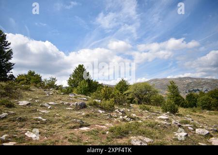 Majestätische Berge, hoch aufragende Bäume, endloser Himmel in landschaftlicher Harmonie Stockfoto