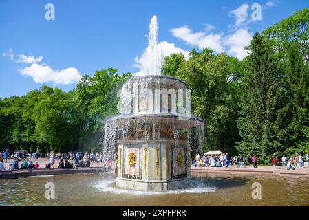 PETERHOF, RUSSLAND - 13. JUNI 2024: Römischer Brunnen im Peterhof-Palast und -Park-Ensemble, Russland Stockfoto