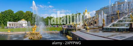 PETERHOF, RUSSLAND - 13. JUNI 2024: Panorama des Schloss- und Parkensembles. Peterhof, Russland Stockfoto