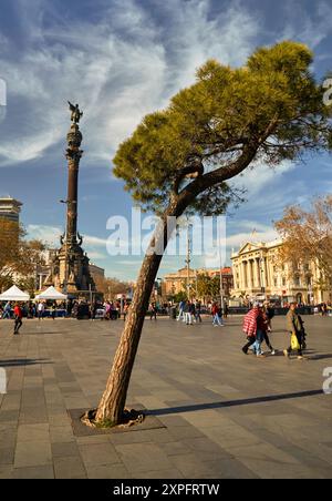 Blick auf das Christoph Kolumbus-Denkmal in Barcelona Stockfoto