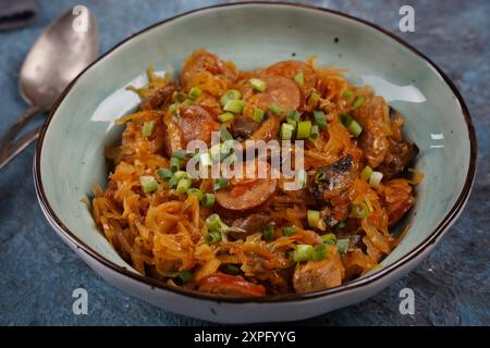 Bigos: Traditionelles polnisches Gericht mit gehacktem Fleisch, das mit geschmort wird Sauerkraut und zerkleinerten frischen Kohl Stockfoto