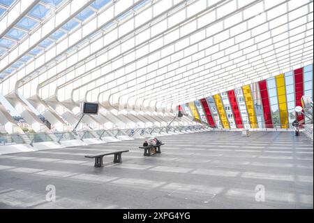 LiÃ ge Belgique Belgie Belgien 29. Juli 2024 Gare de Lüttich-Guillemins, Bahnhof Lüttich. Architektur Stockfoto