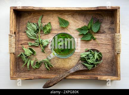 Über dem Blick auf Kräutertee aus trockener Urtica dioica, bekannt als Brennnessel, Brennnessel brennen oder Brennnesselblätter in einer klaren Glasschale. Stockfoto