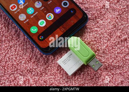Terengganu, Malaysia - 24. August 2024 : Nahaufnahme des grünen usb-otg, sd-Kartenadapters und des Smartphones auf rotem Hintergrund Stockfoto