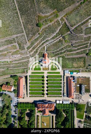 06. August 2024, Sachsen, Radebeul: Blick auf das Gelände und die Weinberge des Sächsischen Landesweingutes Schloss Wackerbarth bei Dresden mit dem Belvedere. Steinmetzer sind derzeit damit beschäftigt, die historischen Trockenmauern im Weinberg des Sächsischen Landesweingutes Schloss Wackerbarth zu restaurieren. Schloss Wackerbarth engagiert sich als Sächsisches Landesweingut für den Erhalt und die Förderung dieser kulturellen Weinlandschaft. Im Auftrag des Freistaates Sachsen unterhält die Landesweinkellerei rund 25.000 Quadratmeter restaurierungsbedürftige Weinbauwände. (Luftaufnahme mit Drohne) Foto: Robert Michael/dpa Stockfoto