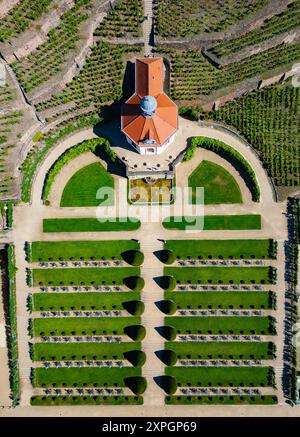 06. August 2024, Sachsen, Radebeul: Blick auf das Gelände und die Weinberge des Sächsischen Landesweingutes Schloss Wackerbarth bei Dresden mit dem Belvedere. Steinmetzer sind derzeit damit beschäftigt, die historischen Trockenmauern im Weinberg des Sächsischen Landesweingutes Schloss Wackerbarth zu restaurieren. Schloss Wackerbarth engagiert sich als Sächsisches Landesweingut für den Erhalt und die Förderung dieser kulturellen Weinlandschaft. Im Auftrag des Freistaates Sachsen unterhält die Landesweinkellerei rund 25.000 Quadratmeter restaurierungsbedürftige Weinbauwände. (Luftaufnahme mit Drohne) Foto: Robert Michael/dpa Stockfoto