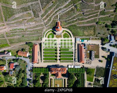 06. August 2024, Sachsen, Radebeul: Blick auf das Gelände und die Weinberge des Sächsischen Landesweingutes Schloss Wackerbarth bei Dresden mit dem Belvedere. Steinmetzer sind derzeit damit beschäftigt, die historischen Trockenmauern im Weinberg des Sächsischen Landesweingutes Schloss Wackerbarth zu restaurieren. Schloss Wackerbarth engagiert sich als Sächsisches Landesweingut für den Erhalt und die Förderung dieser kulturellen Weinlandschaft. Im Auftrag des Freistaates Sachsen unterhält die Landesweinkellerei rund 25.000 Quadratmeter restaurierungsbedürftige Weinbauwände. (Luftaufnahme mit Drohne) Foto: Robert Michael/dpa Stockfoto