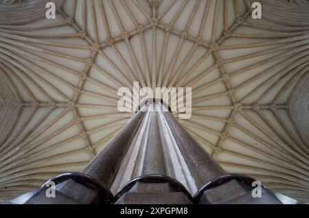 Brunnen, Kathedrale, Kapitelsaal, Blick ins Gewölbe Stockfoto