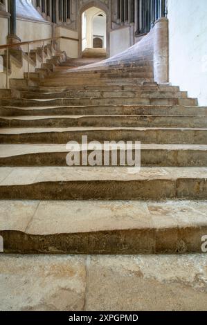 Brunnen, Kathedrale, Kathedrale, Treppe zum Kapitelhaus und Vikar' close, Treppe zum Kapitelsaal, Blick nach Nordosten Stockfoto