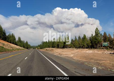 Mineral, USA. August 2024. Der Rauch steigt am 5. August 2024 in der Nähe von Mineral, CA. (Foto: Daniel Brown/SIPA USA) Credit: SIPA USA/Alamy Live News Stockfoto