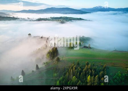 Aus der Vogelperspektive auf den nebeligen Morgen auf dem Land. Nebel umhüllt üppig grüne Hügel, mit Bäumen und wenigen Häusern, die eine ruhige und mystische Atmosphäre schaffen, während das Sonnenlicht durchdringt. Stockfoto