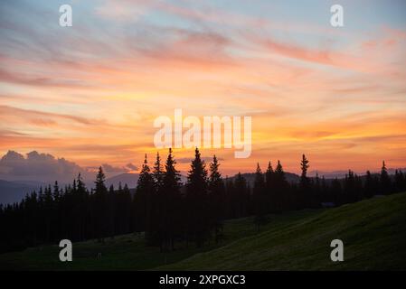 Der leuchtende Sonnenuntergang erfüllt den Himmel mit leuchtenden Orange-, Rosa- und Violetttönen, die die Landschaft in warmem Glanz erstrahlen. Hohe Kiefern stehen in Silhouette vor buntem Horizont mit sanften Hügeln. Stockfoto