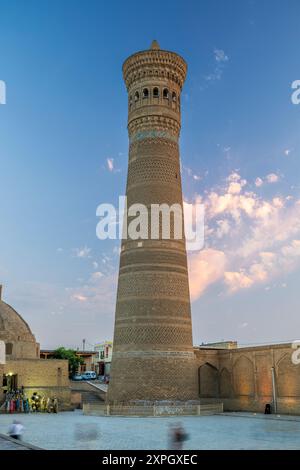 Kalyan (Kalon) Minaret, Buchara, Usbekistan Stockfoto