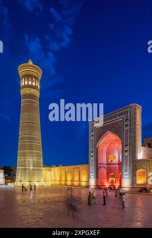 Po-i-Kalyan (POI Kalan) Moschee Komplex und Kalyan (Kalon) Minaret, Buchara, Usbekistan Stockfoto