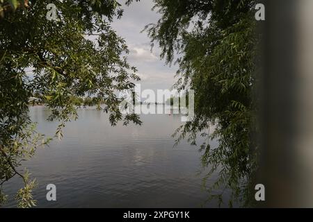 Die Alte Donau ist ein einzigartiges Naherholungsgebiet und auch als ökologische Nische von großer Bedeutung, Wien, August 2024 Stockfoto