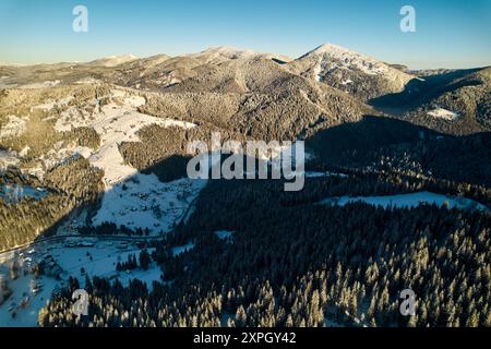 Atemberaubende Winterlandschaft mit schneebedeckten Feldern und dichten Kiefernwäldern aus der Vogelperspektive. Kleines Dorf zwischen Bäumen, während ferne Berge majestätisch unter klarem blauen Himmel stehen. Stockfoto