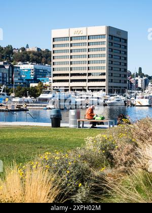 Seattle, USA - 4. Oktober 2018: Besucher genießen einen sonnigen Tag am Ufer im Lake Union Park Stockfoto