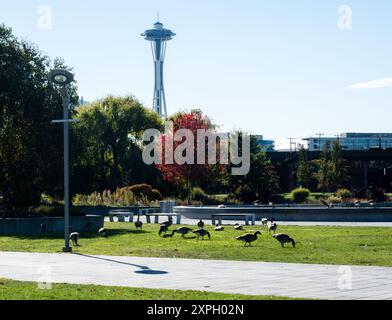 Seattle, USA - 4. Oktober 2018: Blick auf die Space Needle vom Lake Union Park Stockfoto