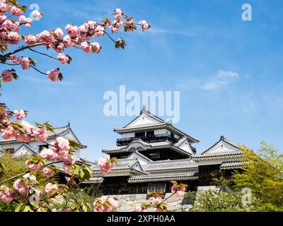 Kirschblüten im Schloss Matsuyama in Matsuyama, Präfektur Ehime, Japan Stockfoto