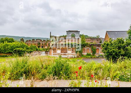 Backsteinmauern in Ruinen der ehemaligen Abtei Aulne, Kletterpflanzen und wilde grüne Vegetation, Hügel mit Bäumen auf nebeligem Hintergrund, bewölkter Tag in Thuin, Wallo Stockfoto