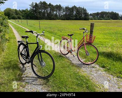 Fahrradtour durch den Skagen Wald. Zwei Fahrräder parken am Straßenrand. Stockfoto