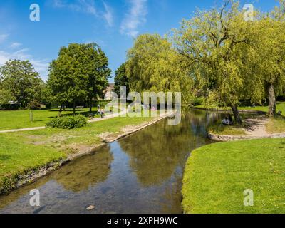 Stream, Queen Elizabeth Park, Salisbury, Wiltshire, England, GROSSBRITANNIEN, GB. Stockfoto