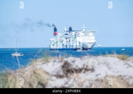 Urlauber am Ostseestrand von Rostock-Warnemünde im August 2024 - Fähre Skane der StenaLine beim Einlaufen in den Hafen von Rostock-WarnemündeStrand von Rostock-Warnemünde im Sommer 2024, Rostock Mecklenburg-Vorpommern Deutschland Warnemünde *** Urlauber am Ostseestrand von Rostock Warnemünde im August 2024 Fähre Skane der StenaLine in den Hafen von Rostock Warnemünde im Sommer 2024 Rostock Warnemünde, Rostock Mecklenburg Vorpommern Deutschland Warnemünde Stockfoto