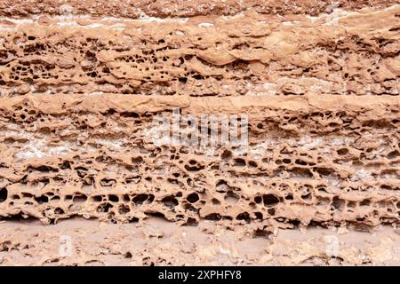 Löcher in erodierten Kaibab Kalkstein- und Sandsteinschluchten, Cathedral Wash Trail, Glen Canyon, Vermilion Cliffs, Arizona, USA Stockfoto