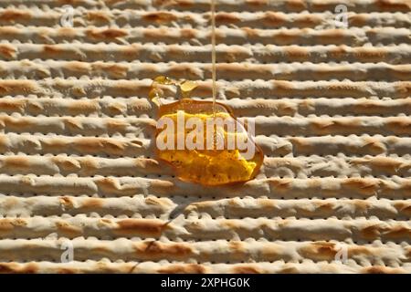 Jüdische Pascha-Matza mit Honig, Nahaufnahme des Fotos Stockfoto