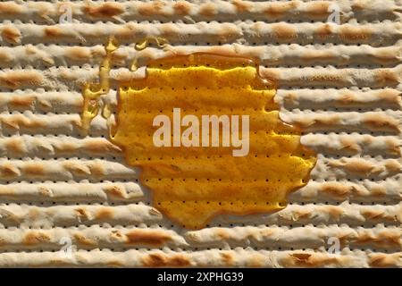 Jüdische Pascha-Matza mit Honig, Nahaufnahme des Fotos Stockfoto