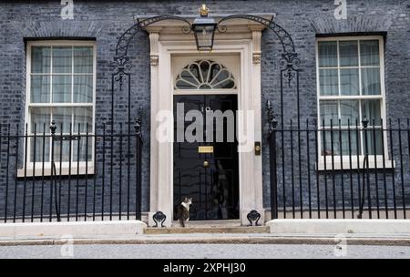 London, Großbritannien. August 2024. Larry the Cat, Chief Mouser zum Kabinettsbüro an der Tür von Nummer 10. Quelle: Mark Thomas/Alamy Live News Stockfoto