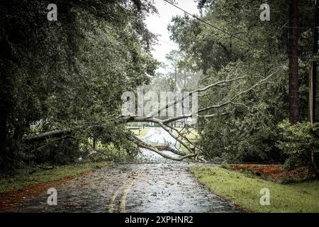 Hurrikanschaden an einem Baum in der Georgia Nachbarschaft. Nach tropischen Sturmwinden fiel ein großer Baum herunter Stockfoto
