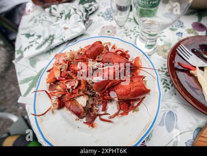 Muschelplatte mit übrig gebliebenen Meeresfrüchten. Flusskrebshüllen. Stockfoto