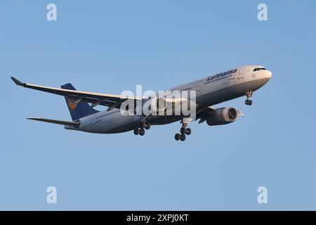 Ein Flugzeug der Fluggesellschaft Lufthansa, Airbus A330-343, Kennung D-AIKM im Landeanflug auf den Flughafen Frankfurt a.M. Flughafen Frankfurt a.M. am 06.08.2024 in Frankfurt a.M./Deutschland. *** Ein Flugzeug der Fluggesellschaft Lufthansa, Airbus A330 343, Registrierung D AIKM nähert sich am 06 08 2024 in Frankfurt a M am Flughafen Frankfurt a M Frankfurt a M am Flughafen Frankfurt a M Stockfoto