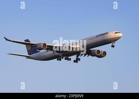 Ein Flugzeug der Fluggesellschaft Lufthansa, Airbus A340-642, Kennung D-AIHY im Landeanflug auf den Flughafen Frankfurt 06.08.2024 a.M./Deutschland. *** Ein Flugzeug der Fluggesellschaft Lufthansa, Airbus A340 642, Registrierung D AIHY nähert sich Frankfurt a M Flughafen Frankfurt a M Flughafen Frankfurt a M am 06 08 2024 in Frankfurt a M Deutschland Stockfoto