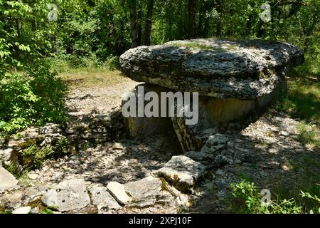 Der Dolmen von Bois de Galtier in der Nähe des Dorfes Martiel in Aveyron Stockfoto