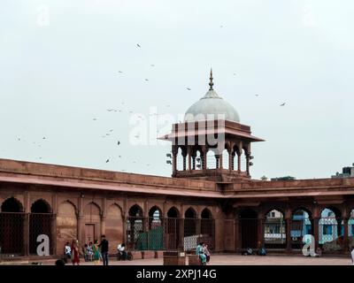 JAMA Masjid Moschee in Delhi/Indien Stockfoto