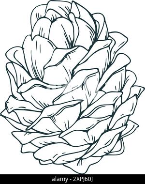 Zedernkegel, Kiefernkegel, große Seitenansicht. Strichgrafik ist eine einfache handgezeichnete Illustration in schwarz-weißer Tinte. Isoliertes Vektor-EPS-Objekt. Stock Vektor