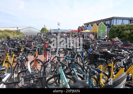 Niedersachsen, Langeoog, Tausende Touristen mit dem Fahrrad am Strand von der Nordseeinsel Langeoog, Urlaub an der Nordsee, Strandkörbe, Nordsee, Meer, *** Niedersachsen, Langeoog, Tausende von Touristen auf Fahrrädern am Strand der Nordseeinsel Langeoog, Urlaub an der Nordsee, Liegestühle, Nordsee, Meer, Stockfoto