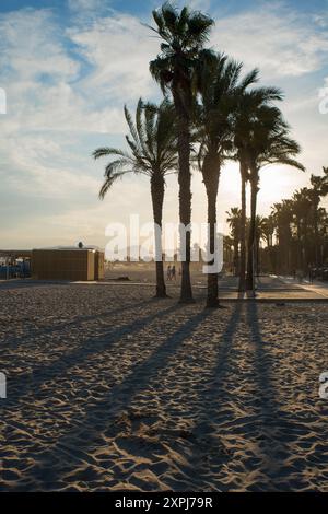 Die Abendsonne wirft lange Schatten von Palmen am Strand in Salou, Costa Dorada, Spanien Stockfoto