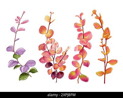 Berberitze Zweige, Kranz, orange, rosa, violette Blätter Stockfoto