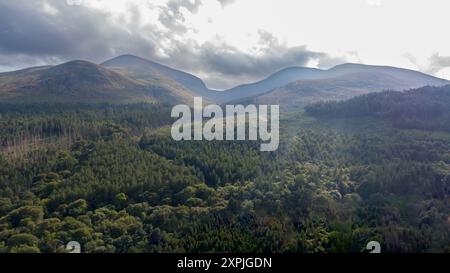 Luftaufnahme auf Wald und Berge in Newcastle, Nordirland. Drohnenfoto der Berglandschaft Stockfoto