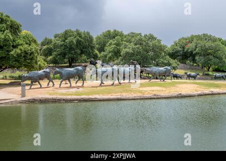 Longhorn-Skulptur in Dallas Stockfoto