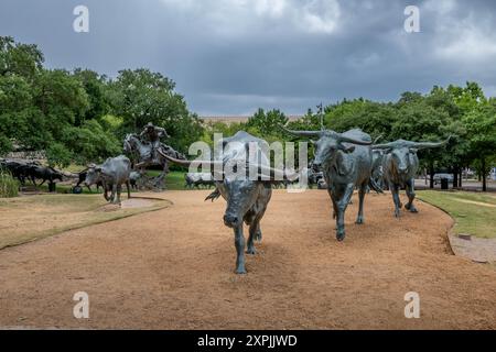 Longhorn-Skulptur in Dallas Stockfoto